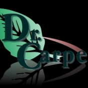 Avatar of Dr. Carpet 