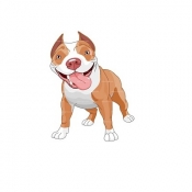 Avatar of Bridley Pit bull Home
