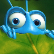 Avatar of Bug Viajero 