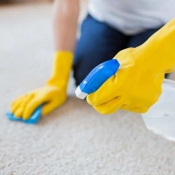 Avatar of Carpet Cleaning Altona