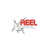 Avatar of reelreports.com 