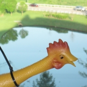 Avatar of upchicken